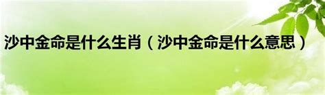 沙中金命|沙中金命是什么意思 沙中金命五行缺什么